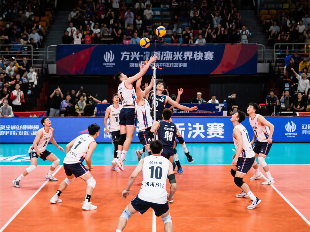 的转会费 的转会费